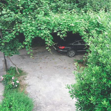 Apartment Lim Budva Zewnętrze zdjęcie