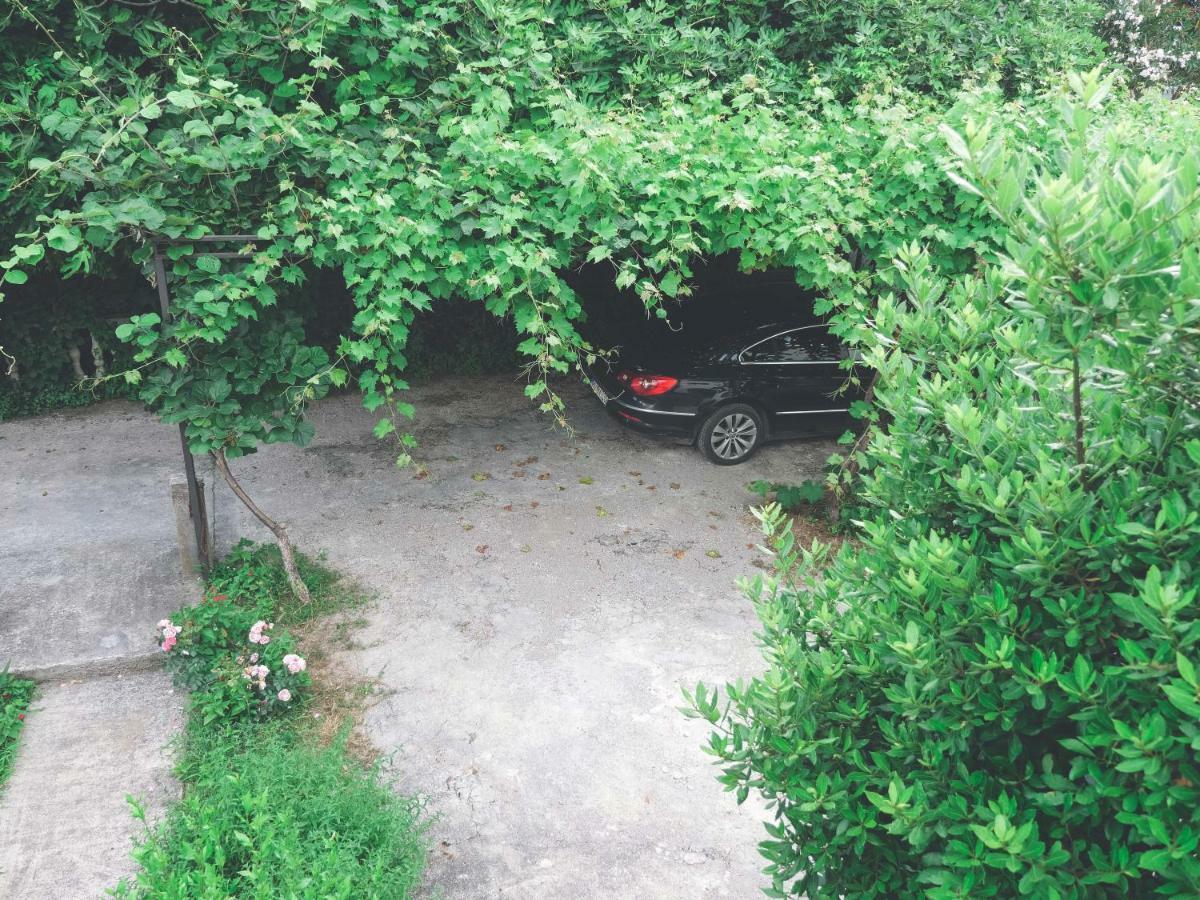 Apartment Lim Budva Zewnętrze zdjęcie